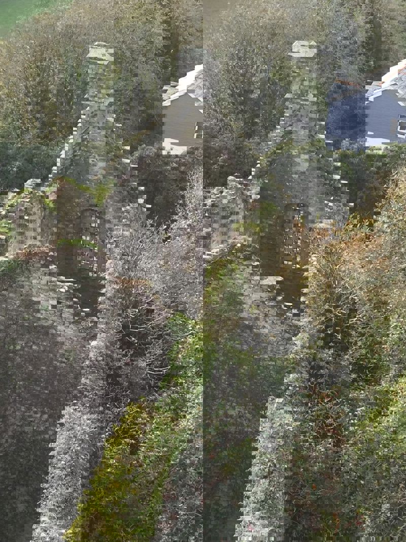 Unadjustednonraw Thumb Fa9