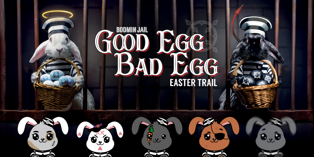 Good Egg Bad Egg WEB
