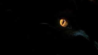 Beast Projector.00 02 45 09.Still001