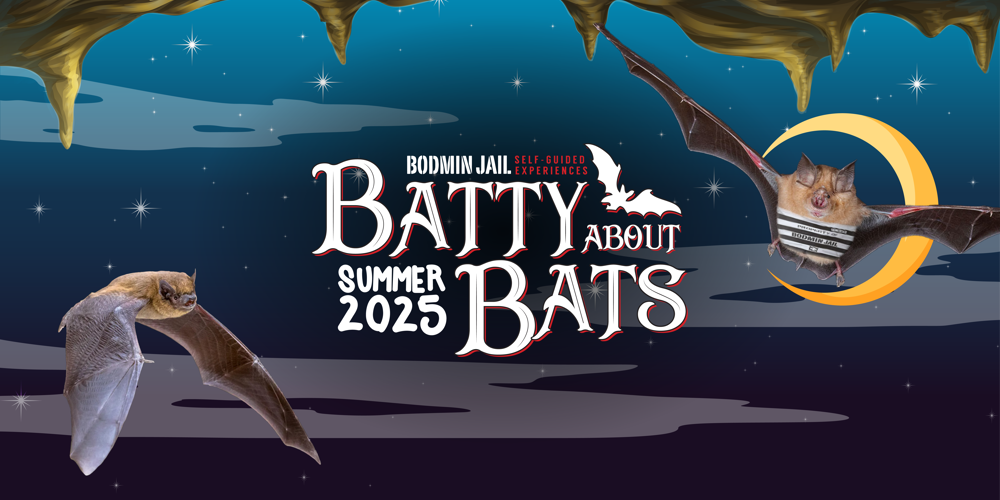 Batty About Bats Summer WEB